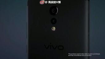 手机国产视频
